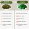 Large Capacity Fake Moss for Plants Indoor, Fresh Green Moss for Potted Plants Craft Moss for Home & Office Decor Fairy Garden Decoration